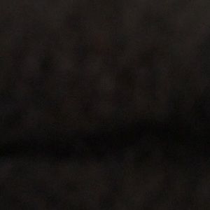 Meet your Posher, Liz